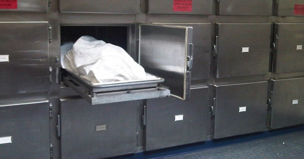 mortuary refrigerator,mortuary freezer,morgue fridge,long term storage,cooling system