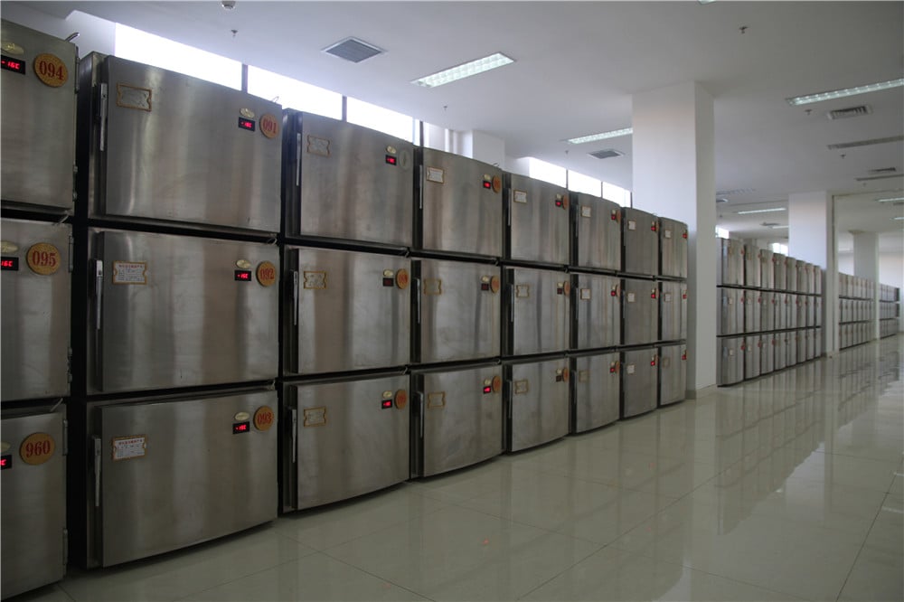 mortuary freezer,mortuary freezer box,dead body mortuary freezer box