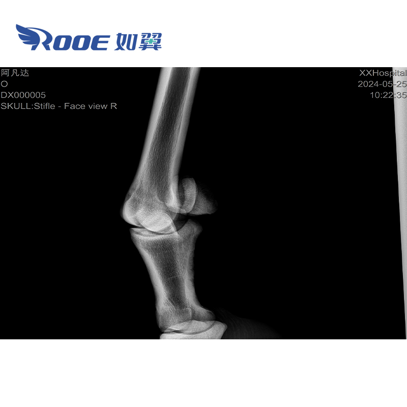 Medical Imaging System,Equine Digital X-ray System,Portable DR X-ray Machine,Veterinary X-ray with Flat Panel Detector