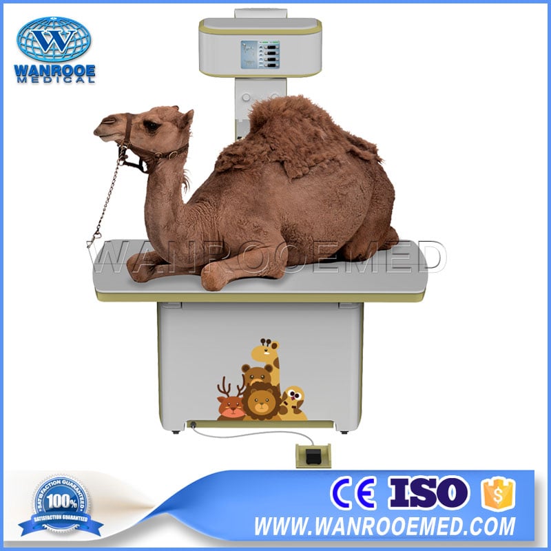 China Manufacturer for VET1800 Vet Digital Radiography System Portable