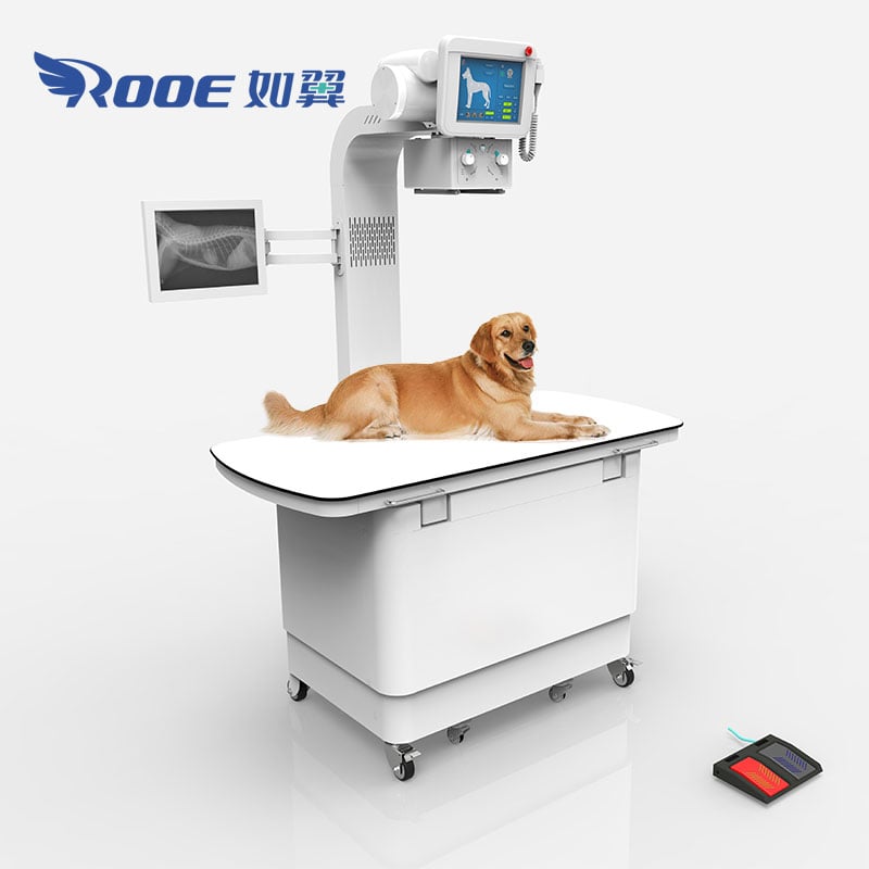 veterinary digital x ray machine,veterinary x ray,animal x ray machine